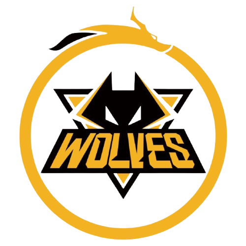 这场战斗不 这场战斗不