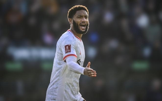 的决策之中 的决策之中